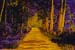 A yellow road