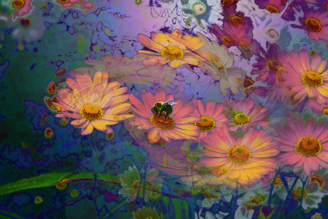 Bee One